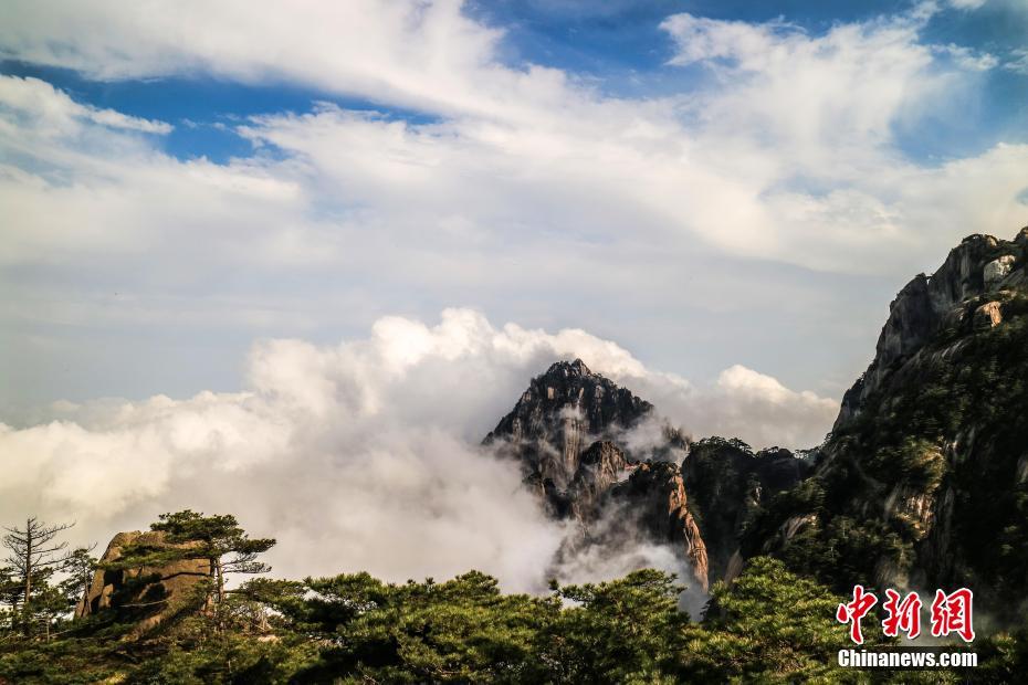 潜渊症橙童怎么样